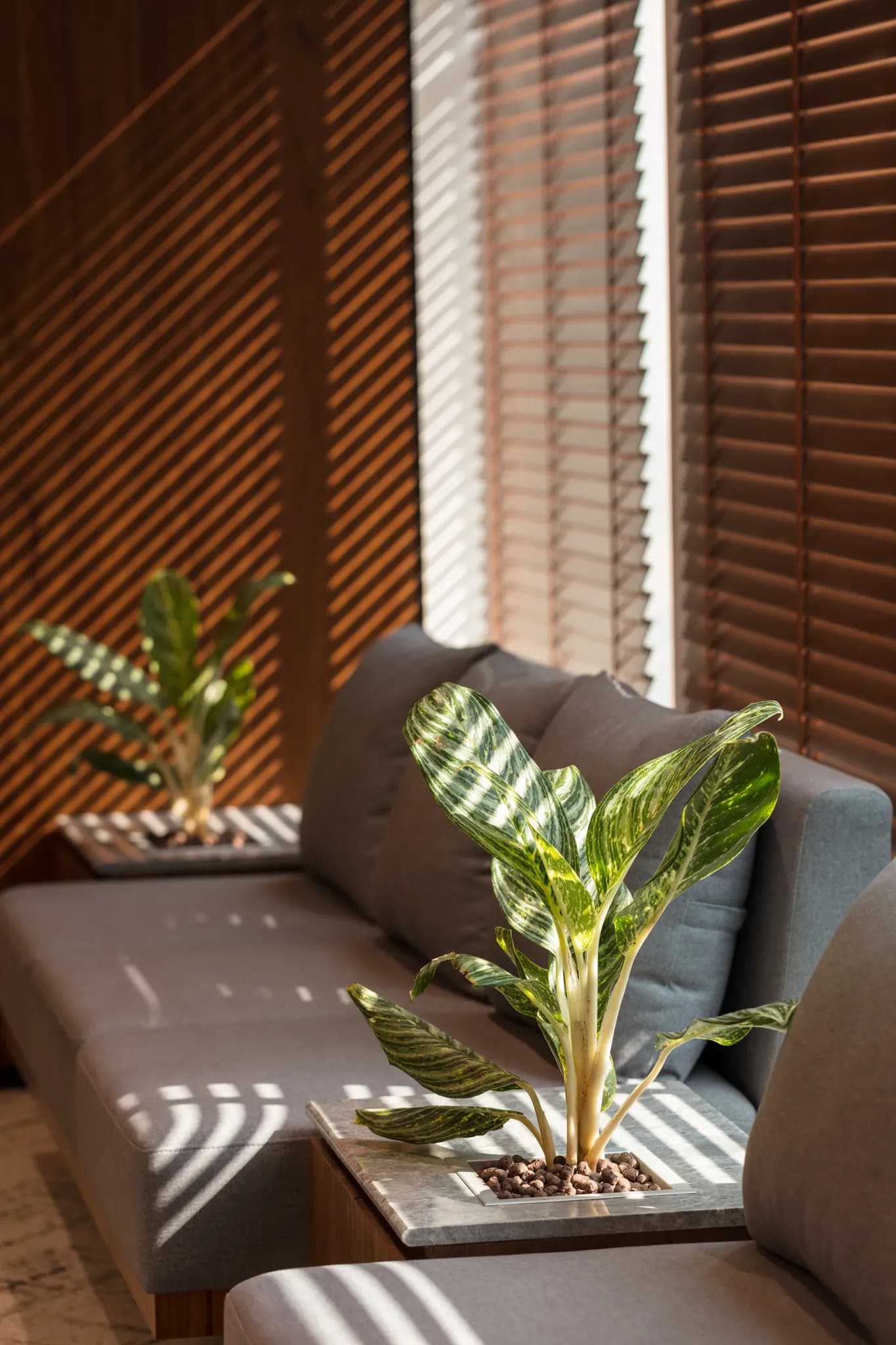 JSA Mumbai Interior 2